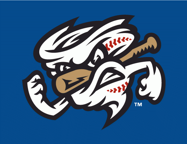 Omaha Storm Chasers 2011-pres cap logo iron on heat transfer